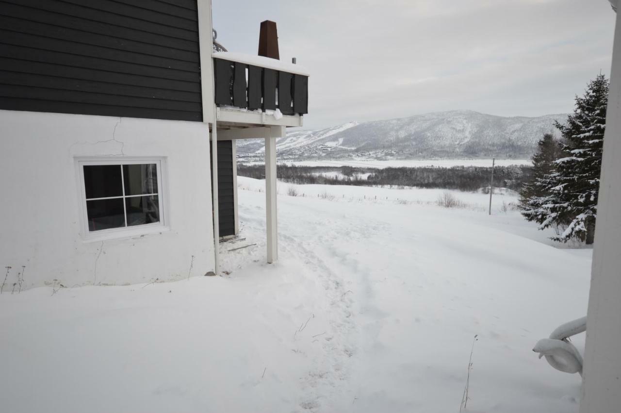 Between Ustaoset&geilo